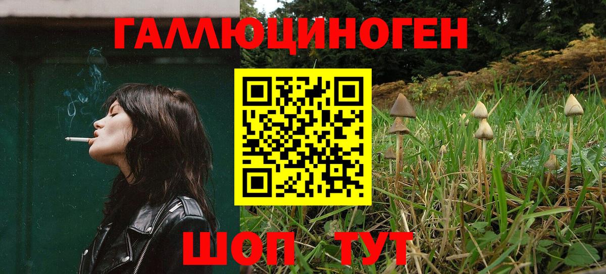 Галлюциногенные грибы GOLDEN TEACHER  Вход с VPN  Усинск  Галлюциногенные грибы Cubensis 